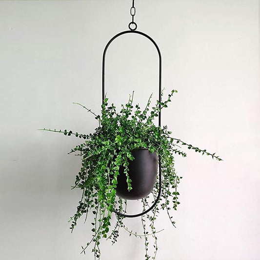 Minimalistisch Plantenhanger voor Elegante Interieurvernieuwing 0